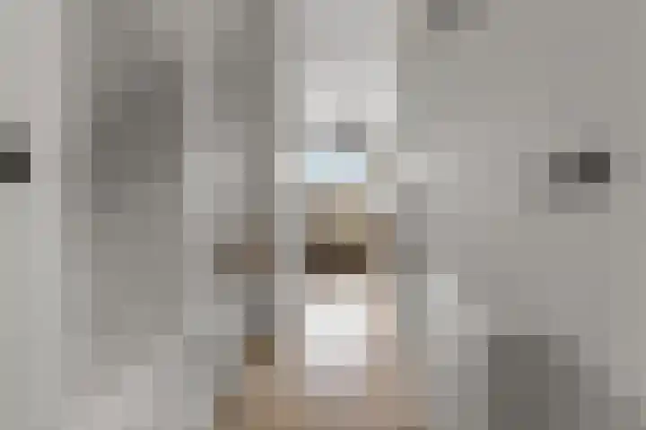 Merwedestraat 2 c Velp thumbnail 8
