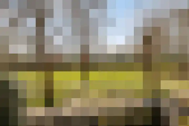 Merwedestraat 20 Hardinxveld-Giessendam thumbnail 16