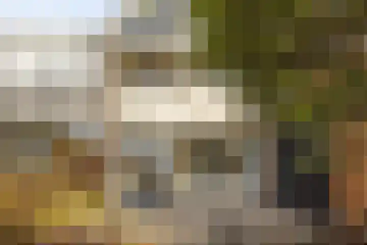 Merwedestraat 20 Hardinxveld-Giessendam thumbnail 29