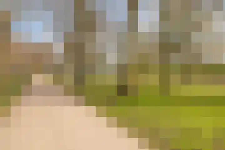 Merwedestraat 20 Hardinxveld-Giessendam thumbnail 32