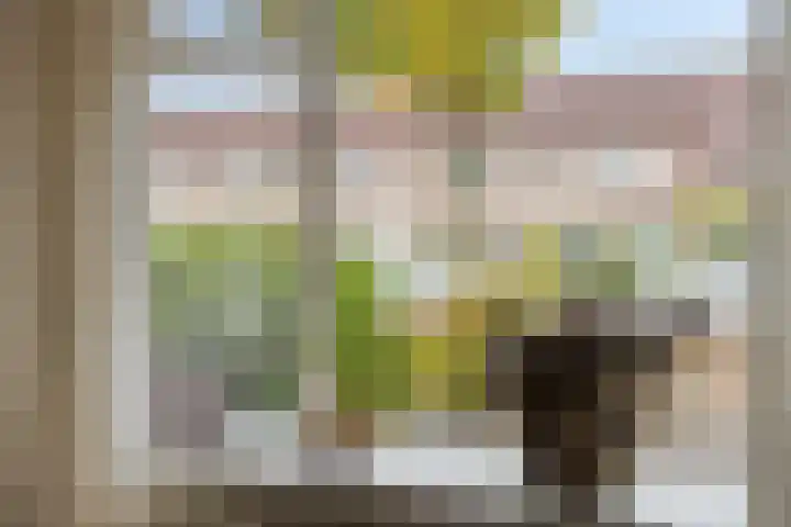Merwedestraat 21 Velp thumbnail 13