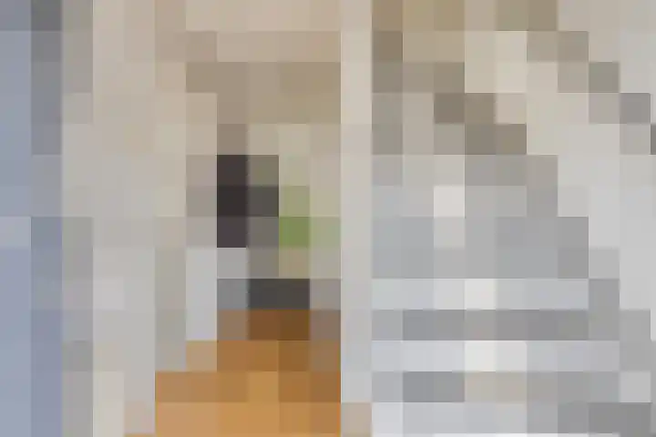 Merwedestraat 21 Velp thumbnail 15