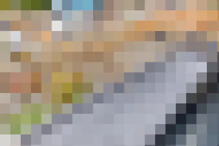Merwedestraat 21 Velp thumbnail 21