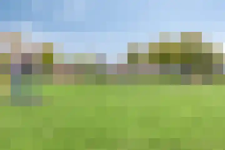 Merwedestraat 21 Velp thumbnail 37