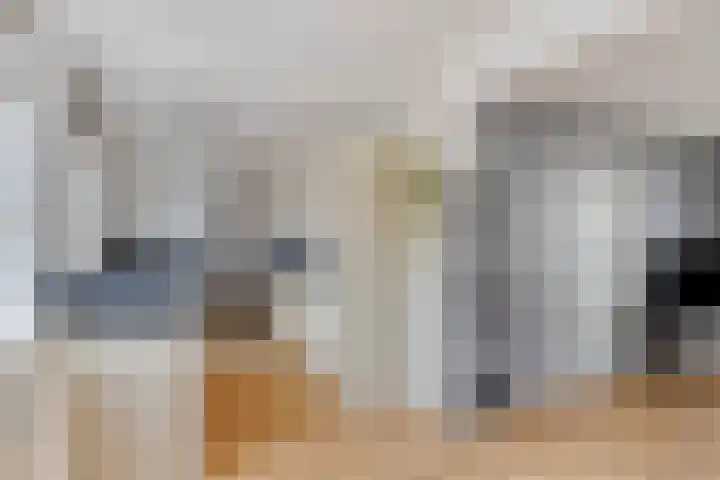 Merwedestraat 21 Velp thumbnail 9