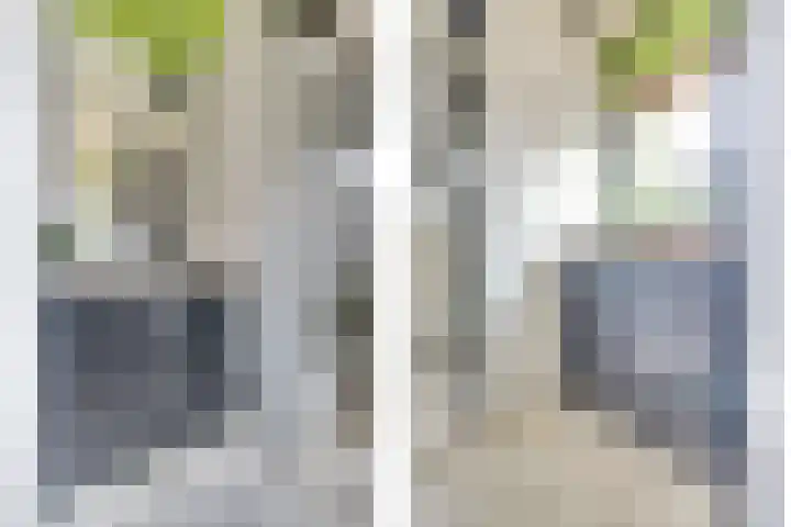 Merwedestraat 22 Hansweert thumbnail 13