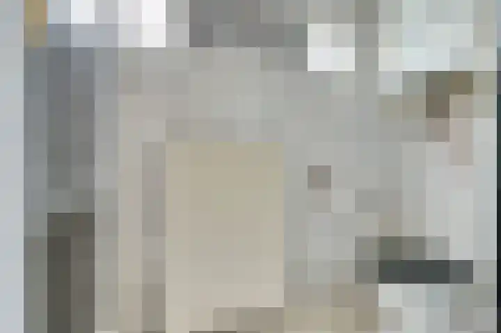 Merwedestraat 22 Hansweert thumbnail 15