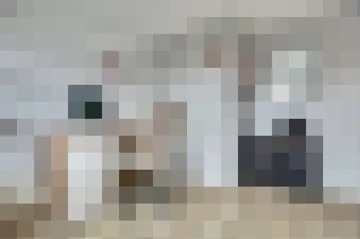 Merwedestraat 22 Hansweert thumbnail 24