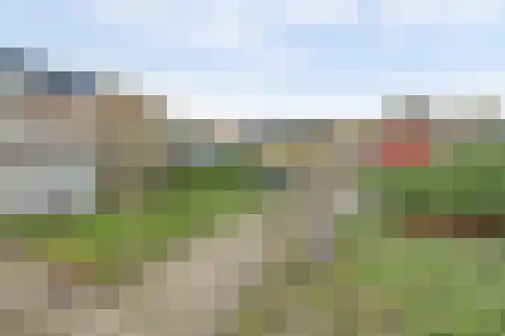 Merwedestraat 22 Hansweert thumbnail 31