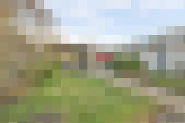 Merwedestraat 22 Hansweert thumbnail 32