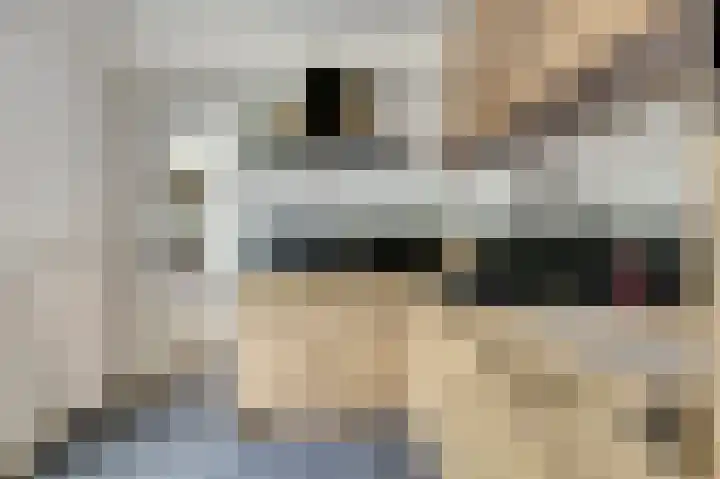 Merwedestraat 22 Hansweert thumbnail 9
