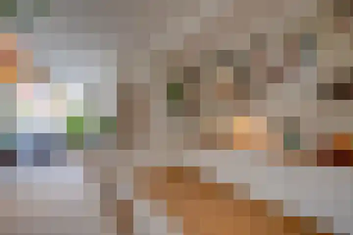 Merwedestraat 29 Utrecht thumbnail 10