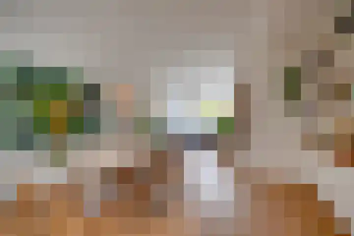Merwedestraat 29 Utrecht thumbnail 9