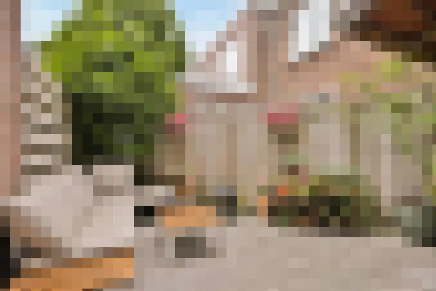 Merwedestraat 3 Haarlem thumbnail 14