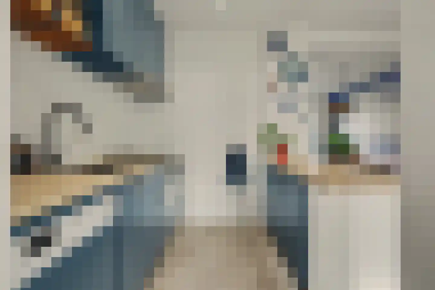 Merwedestraat 3 Hansweert thumbnail 12