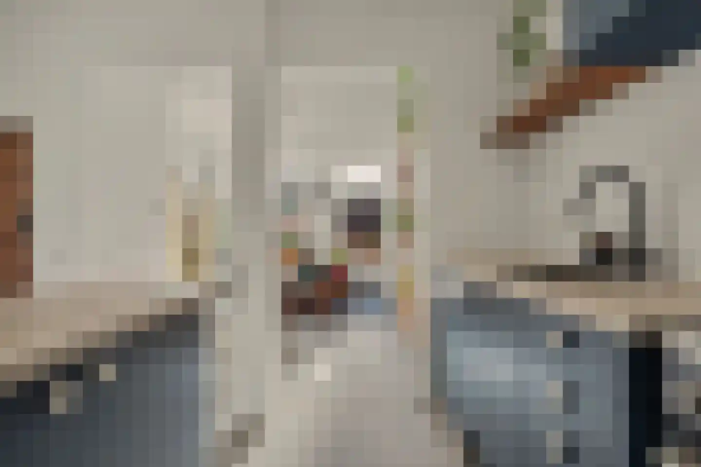 Merwedestraat 3 Hansweert thumbnail 13