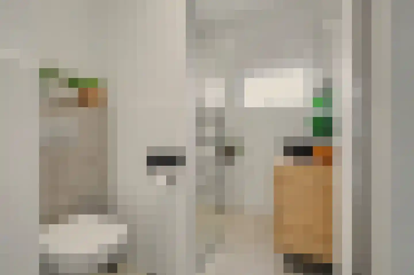 Merwedestraat 3 Hansweert thumbnail 14