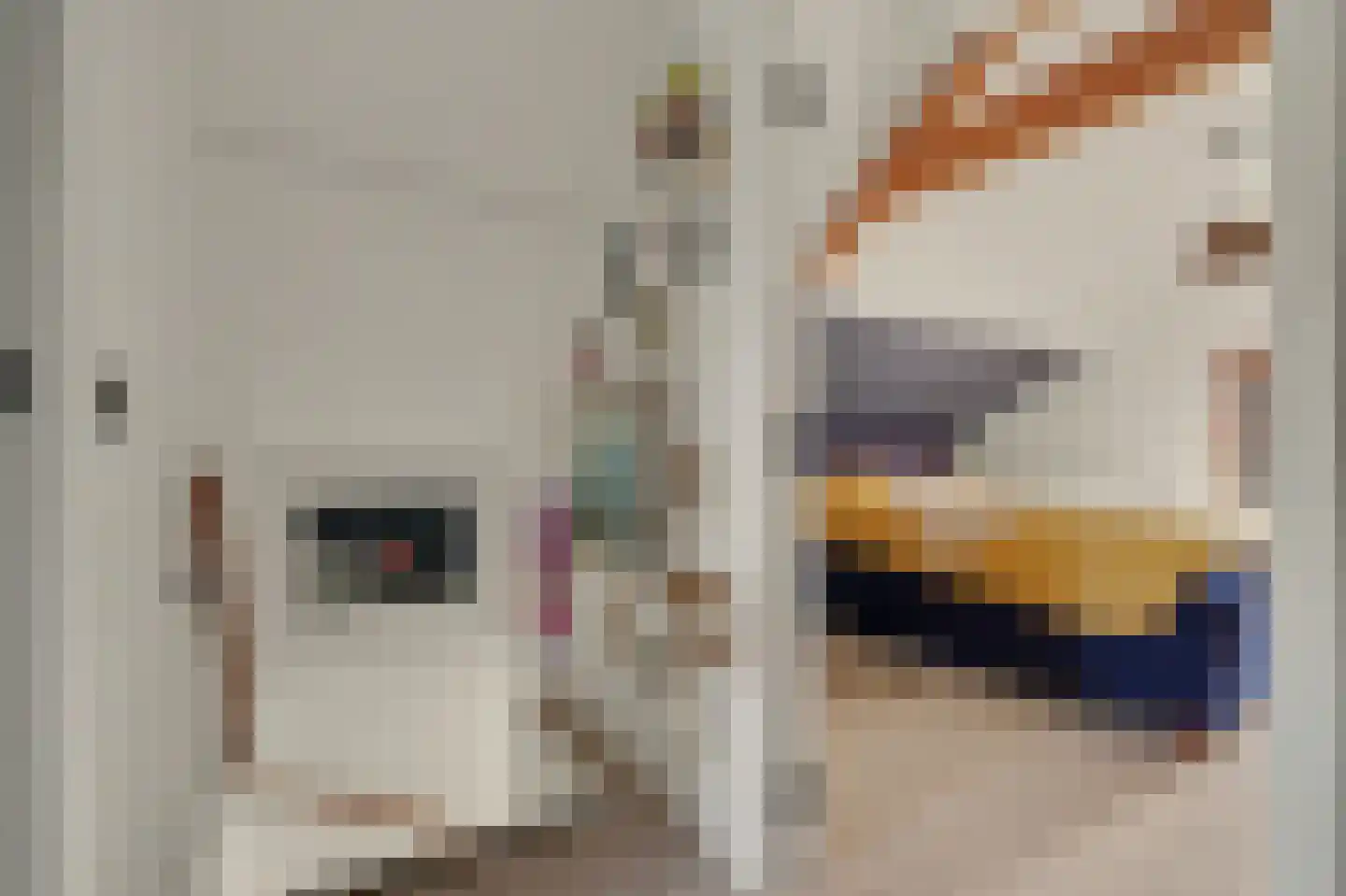 Merwedestraat 3 Hansweert thumbnail 17