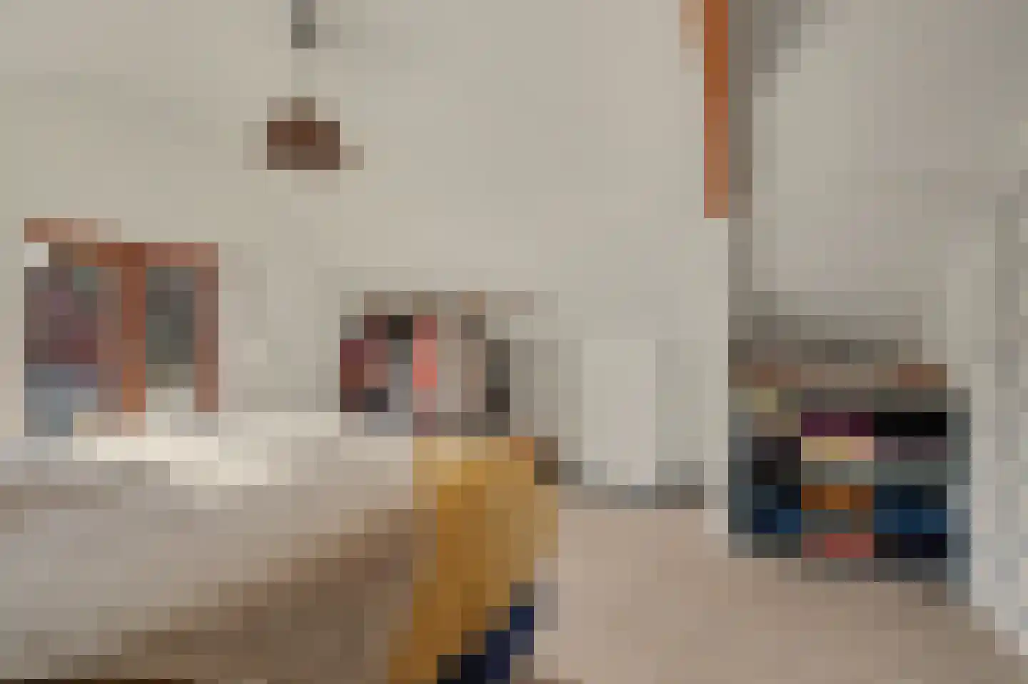 Merwedestraat 3 Hansweert thumbnail 19