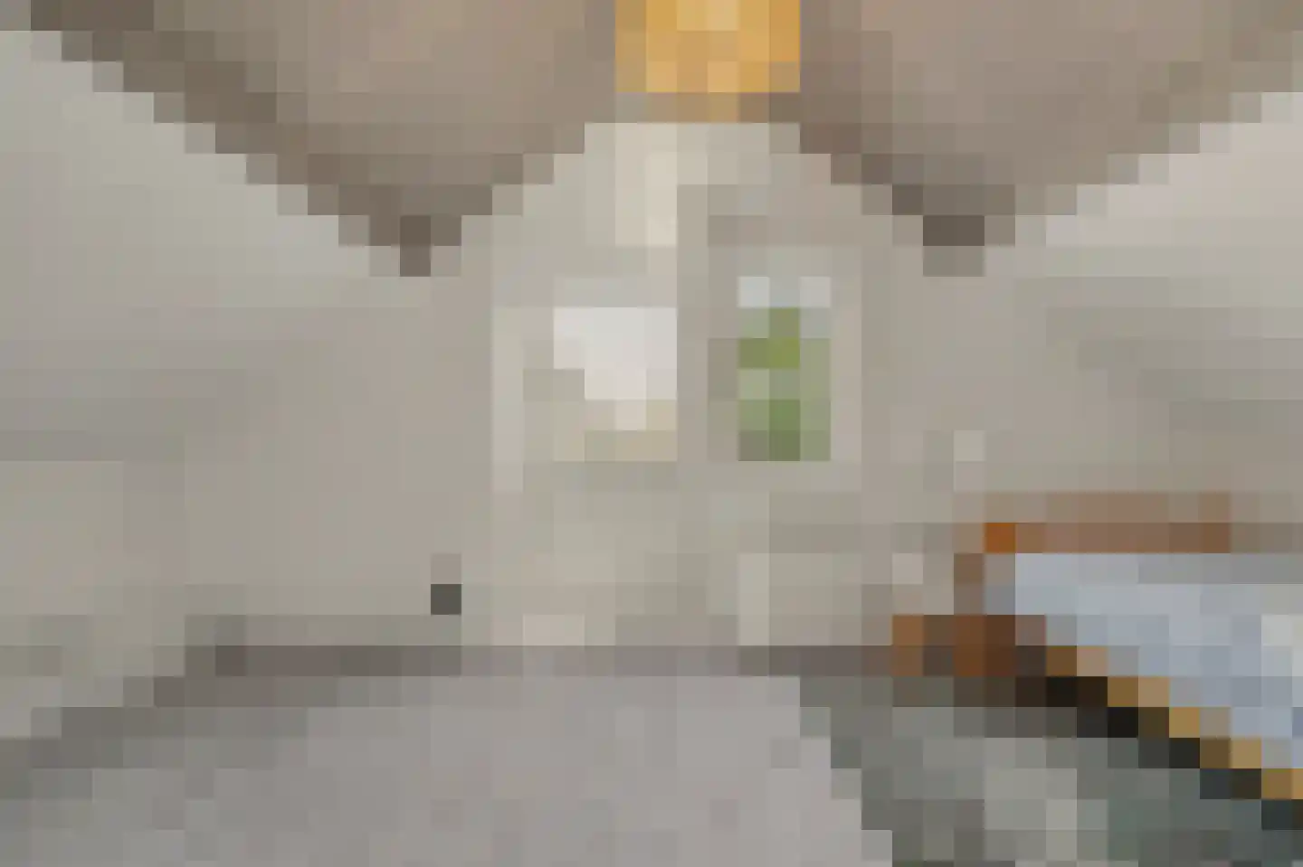Merwedestraat 3 Hansweert thumbnail 20