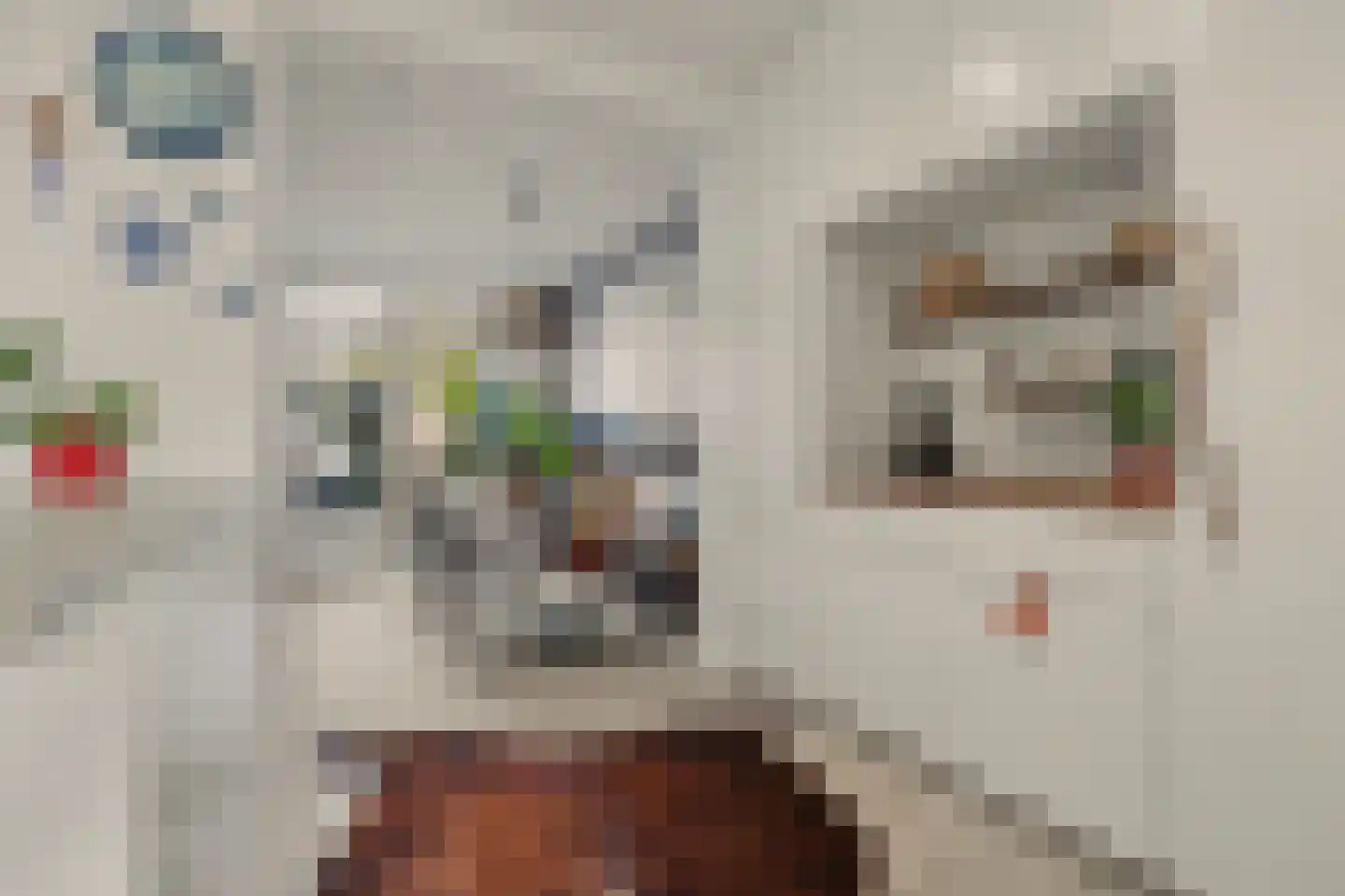 Merwedestraat 3 Hansweert thumbnail 9