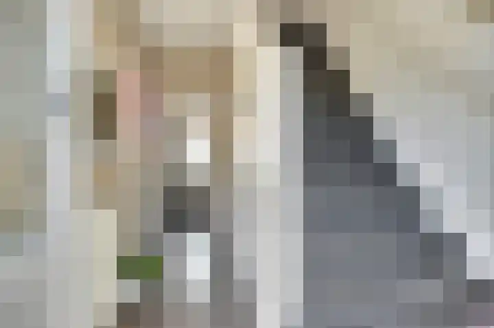 Merwedestraat 32 Den Helder thumbnail 8