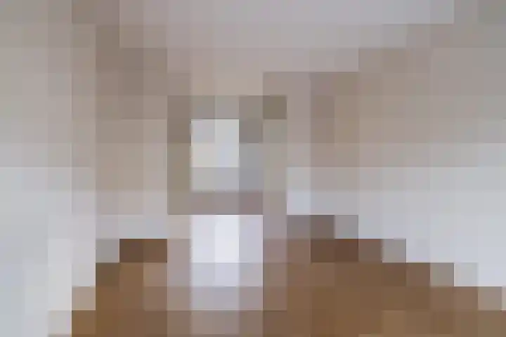 Merwedestraat 37 Haarlem foto 3