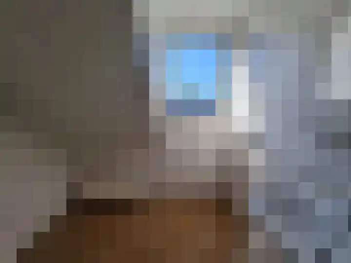 Merwedestraat 43 Dordrecht thumbnail 6