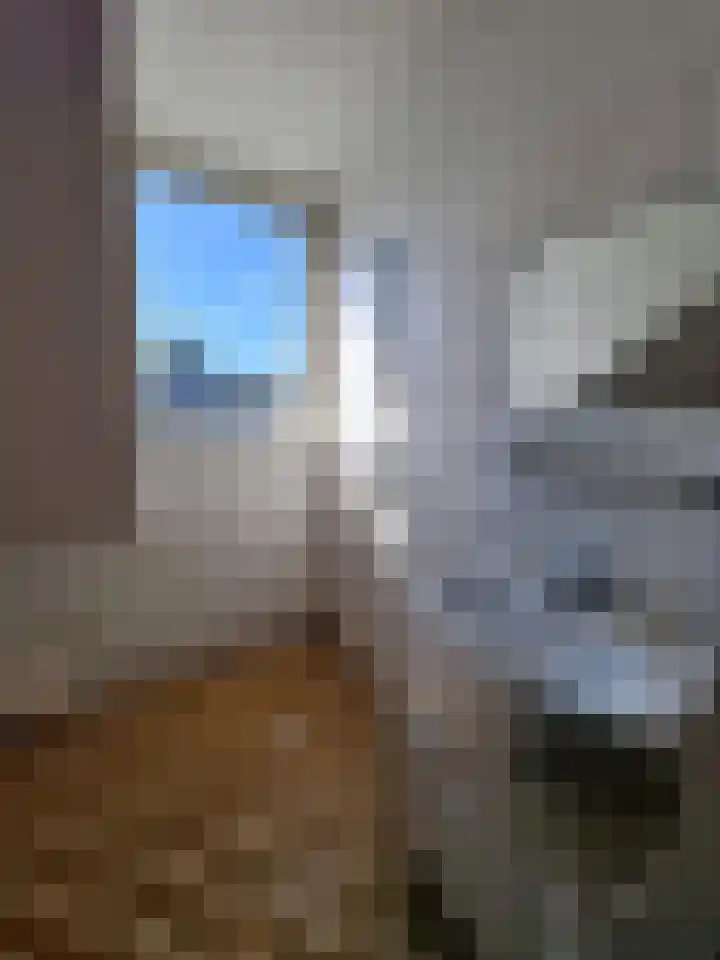 Merwedestraat 43 Dordrecht thumbnail 7