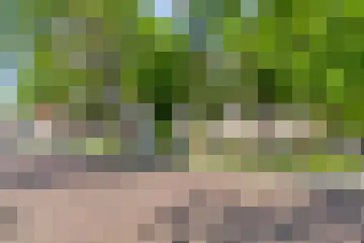 Merwedestraat 46 Groningen thumbnail 33