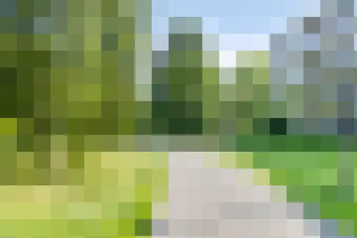 Merwedestraat 46 Groningen thumbnail 36