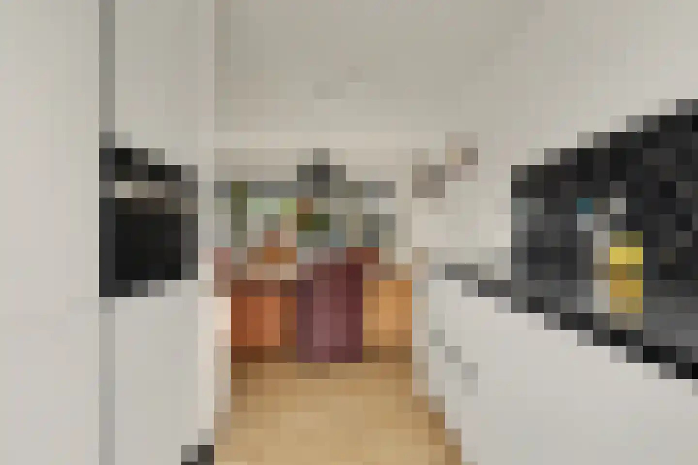 Merwedestraat 47 Maasdam thumbnail 14