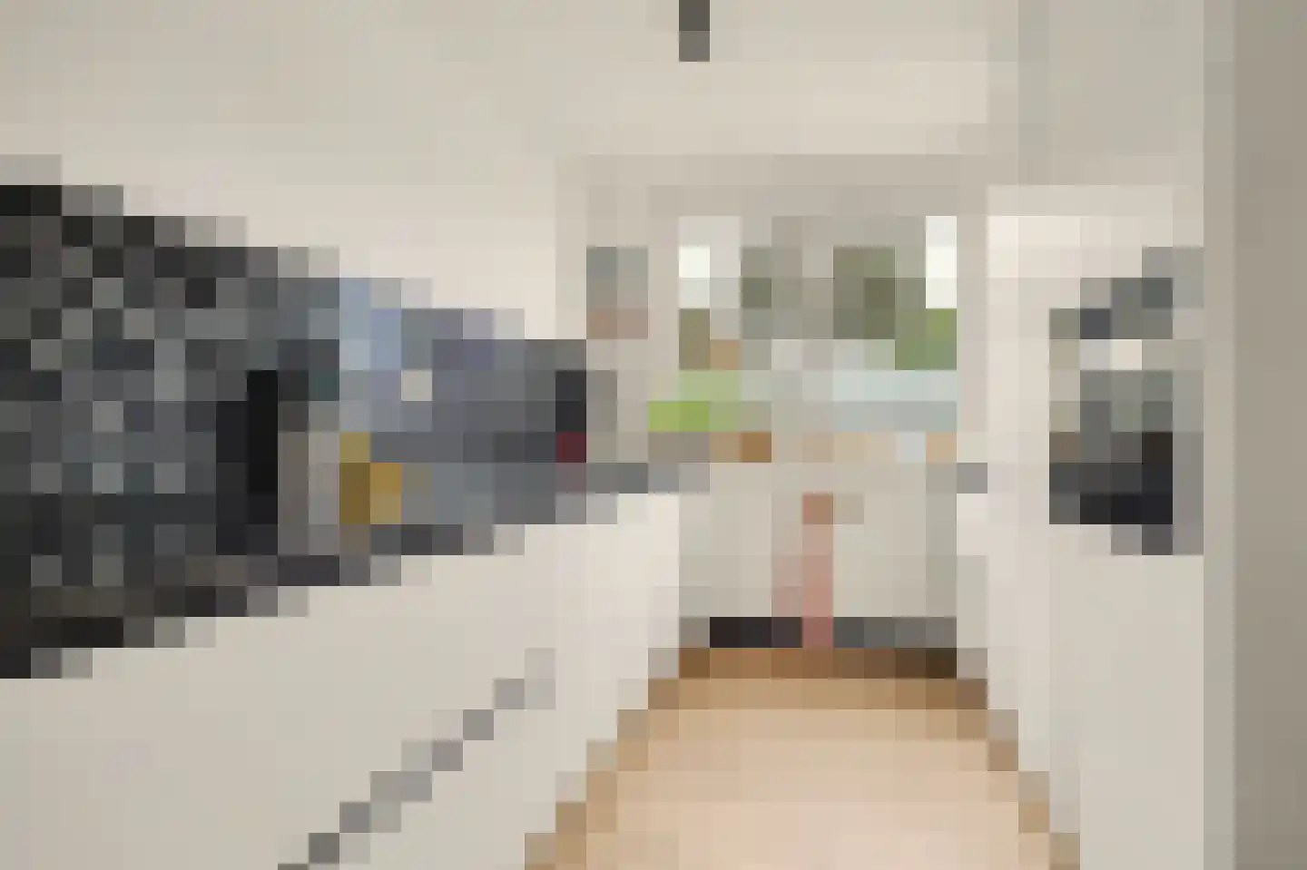 Merwedestraat 47 Maasdam thumbnail 15