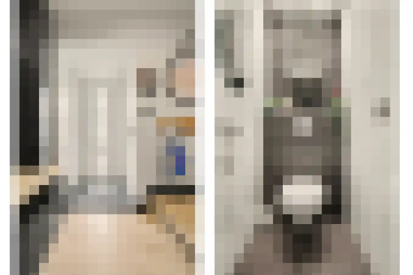 Merwedestraat 47 Maasdam thumbnail 6