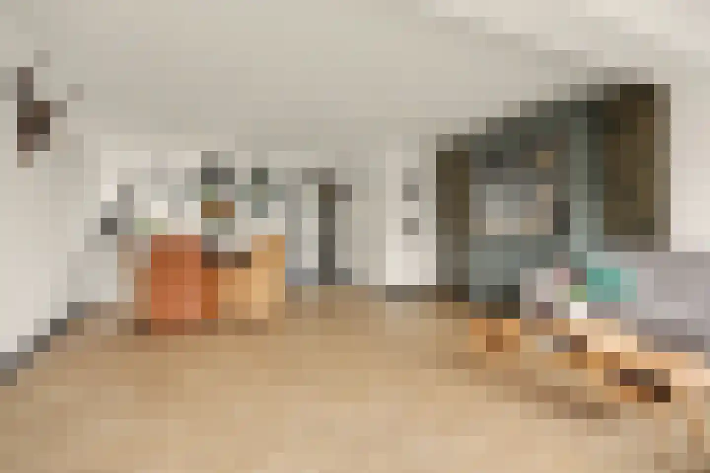 Merwedestraat 47 Maasdam thumbnail 9