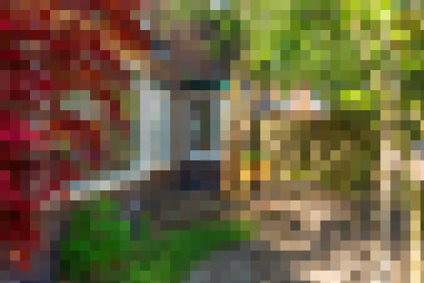 Merwedestraat 48 Amersfoort thumbnail 6