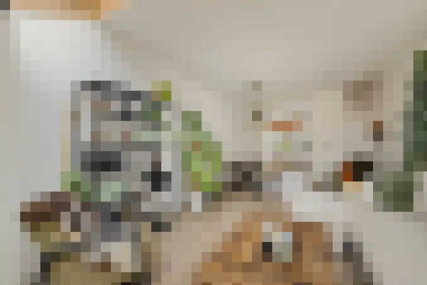 Merwedestraat 49 Utrecht thumbnail 15