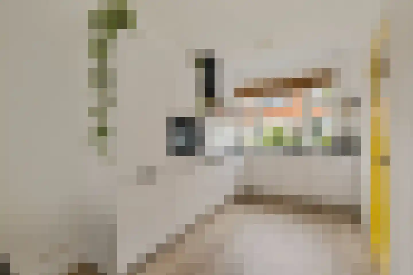 Merwedestraat 49 Utrecht thumbnail 17