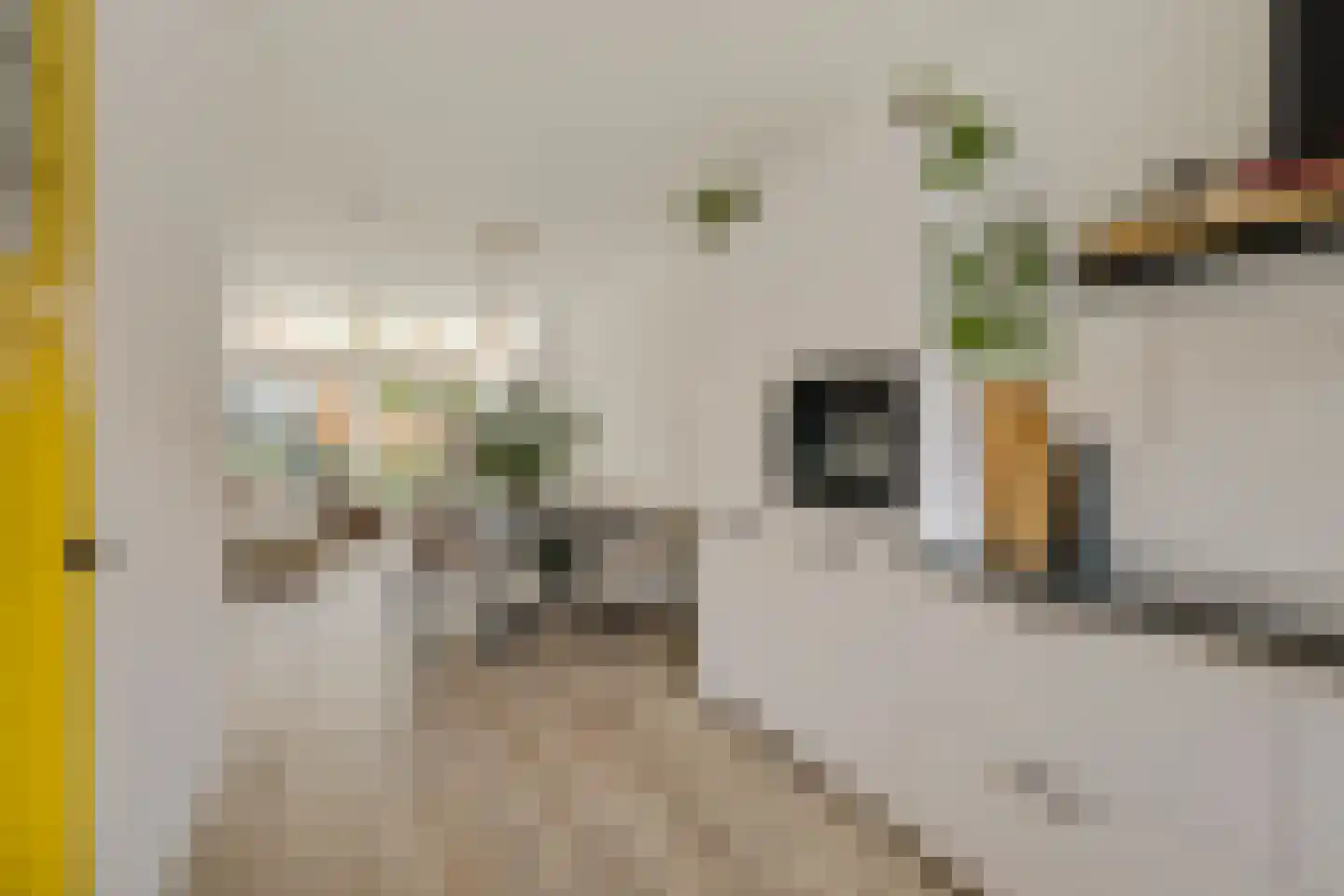 Merwedestraat 49 Utrecht thumbnail 20