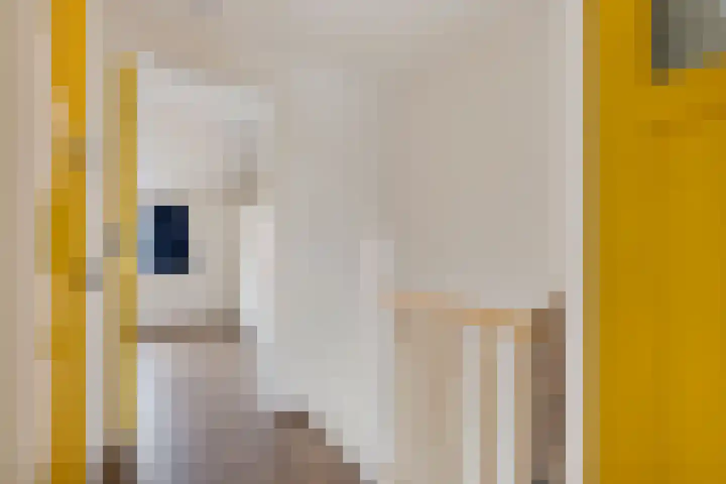 Merwedestraat 49 Utrecht thumbnail 22