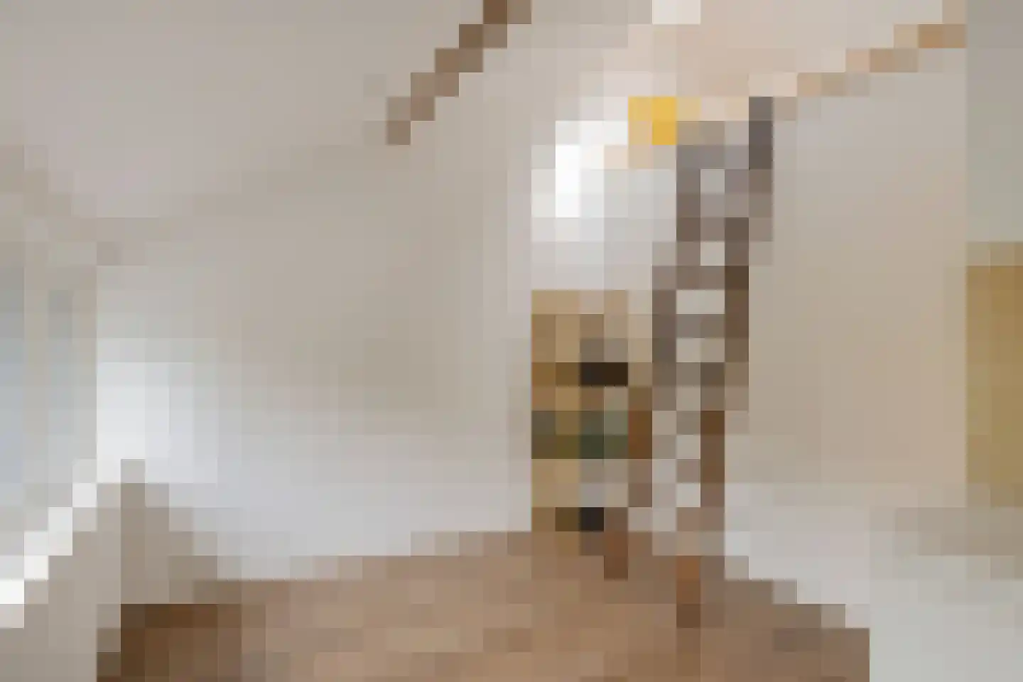 Merwedestraat 49 Utrecht thumbnail 29