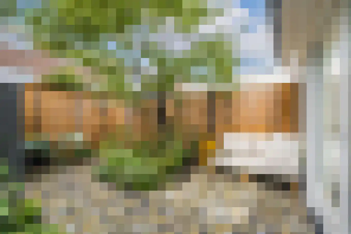 Merwedestraat 49 Utrecht thumbnail 4