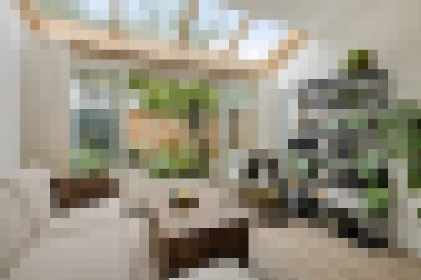 Merwedestraat 49 Utrecht thumbnail 8