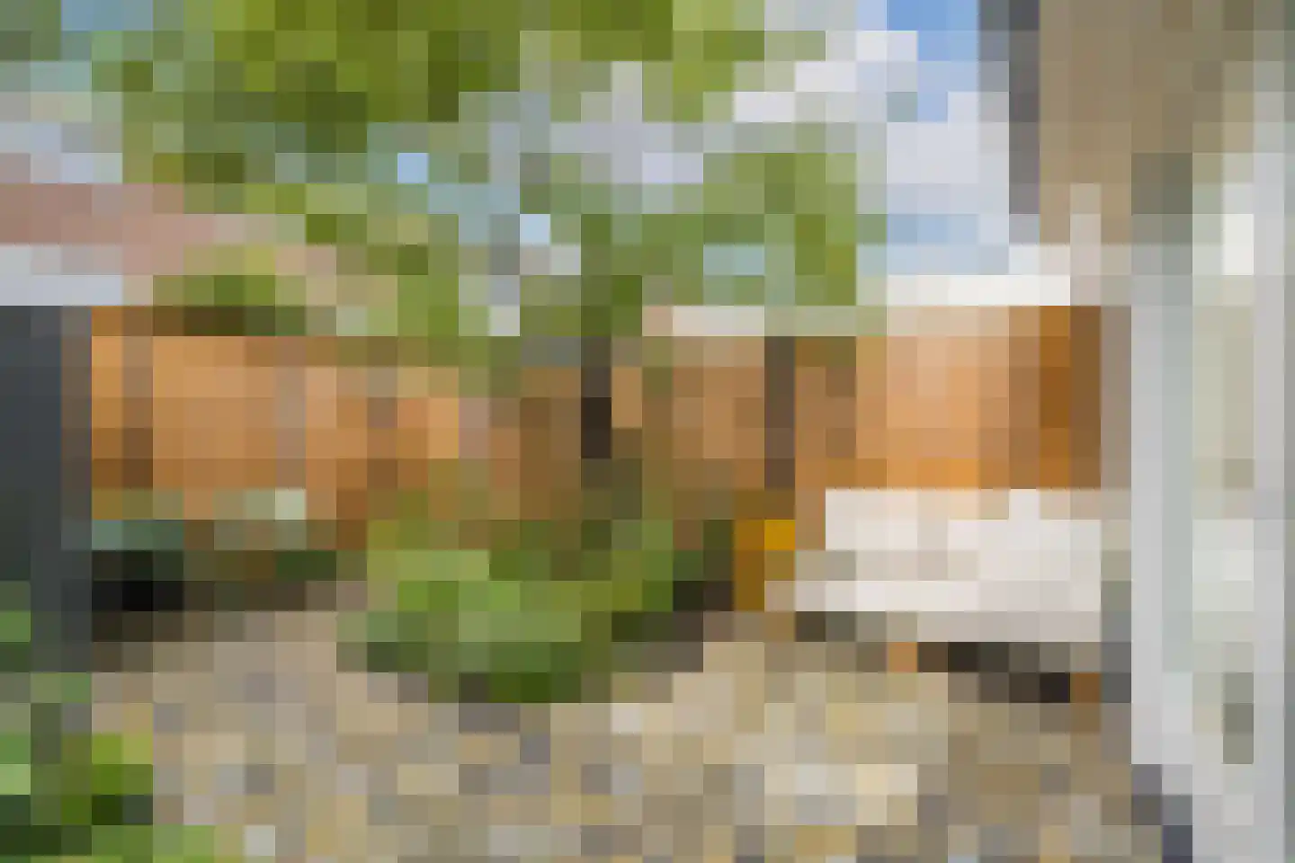 Merwedestraat 49 Utrecht thumbnail 9