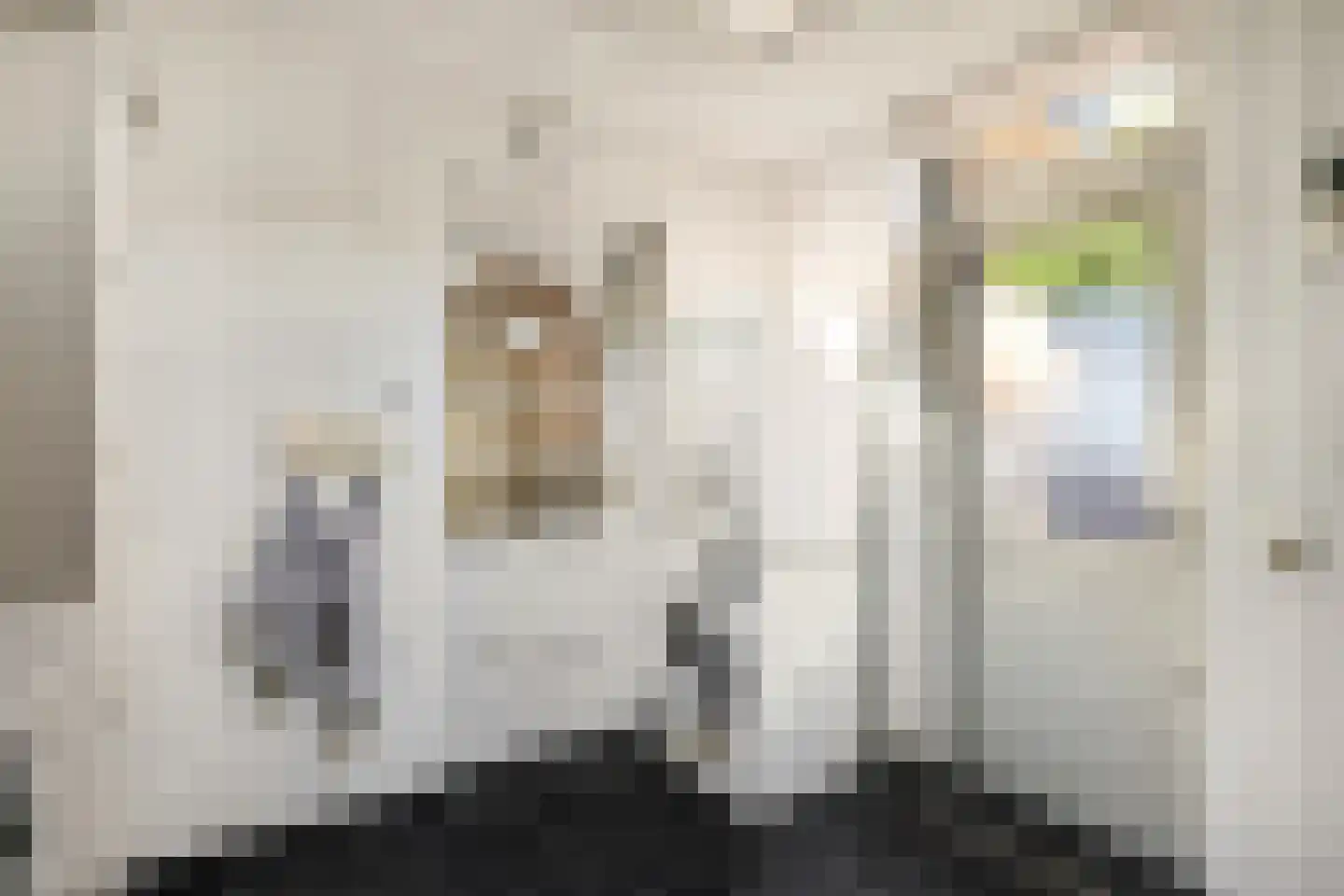 Merwedestraat 5 Velp thumbnail 10