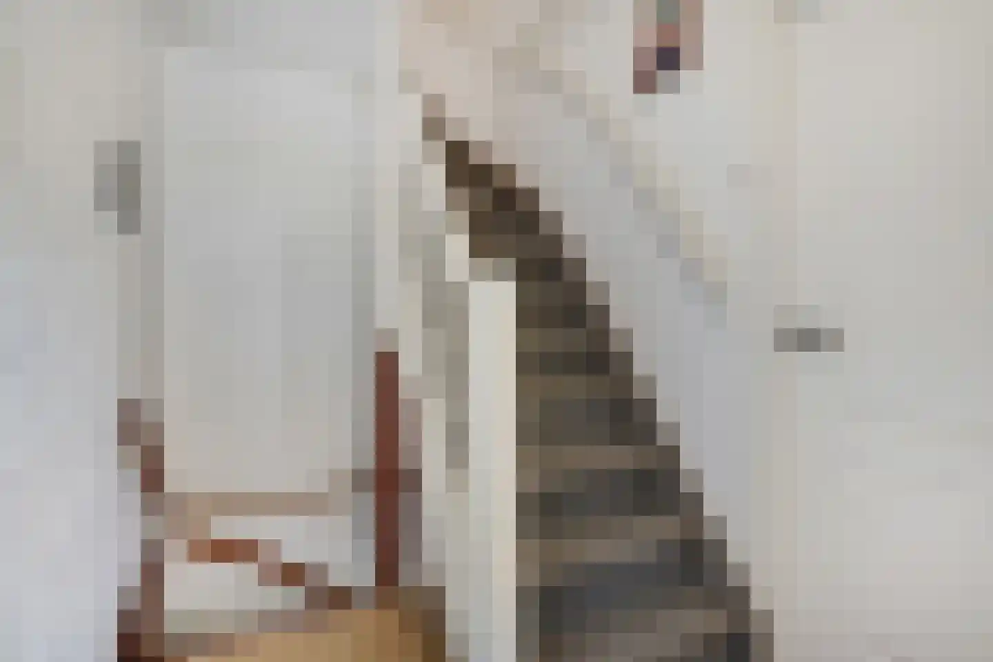 Merwedestraat 5 Velp thumbnail 11