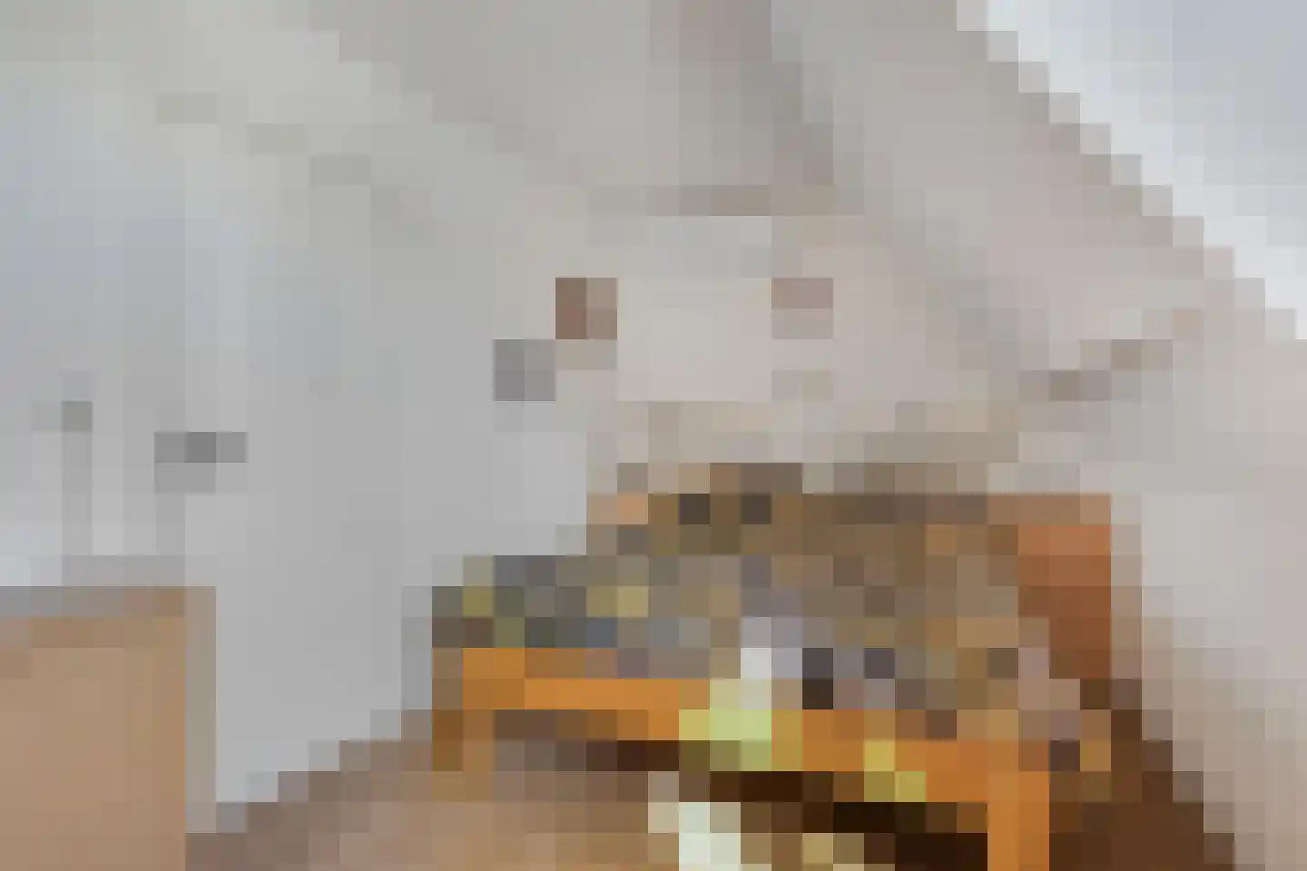 Merwedestraat 5 Velp thumbnail 12