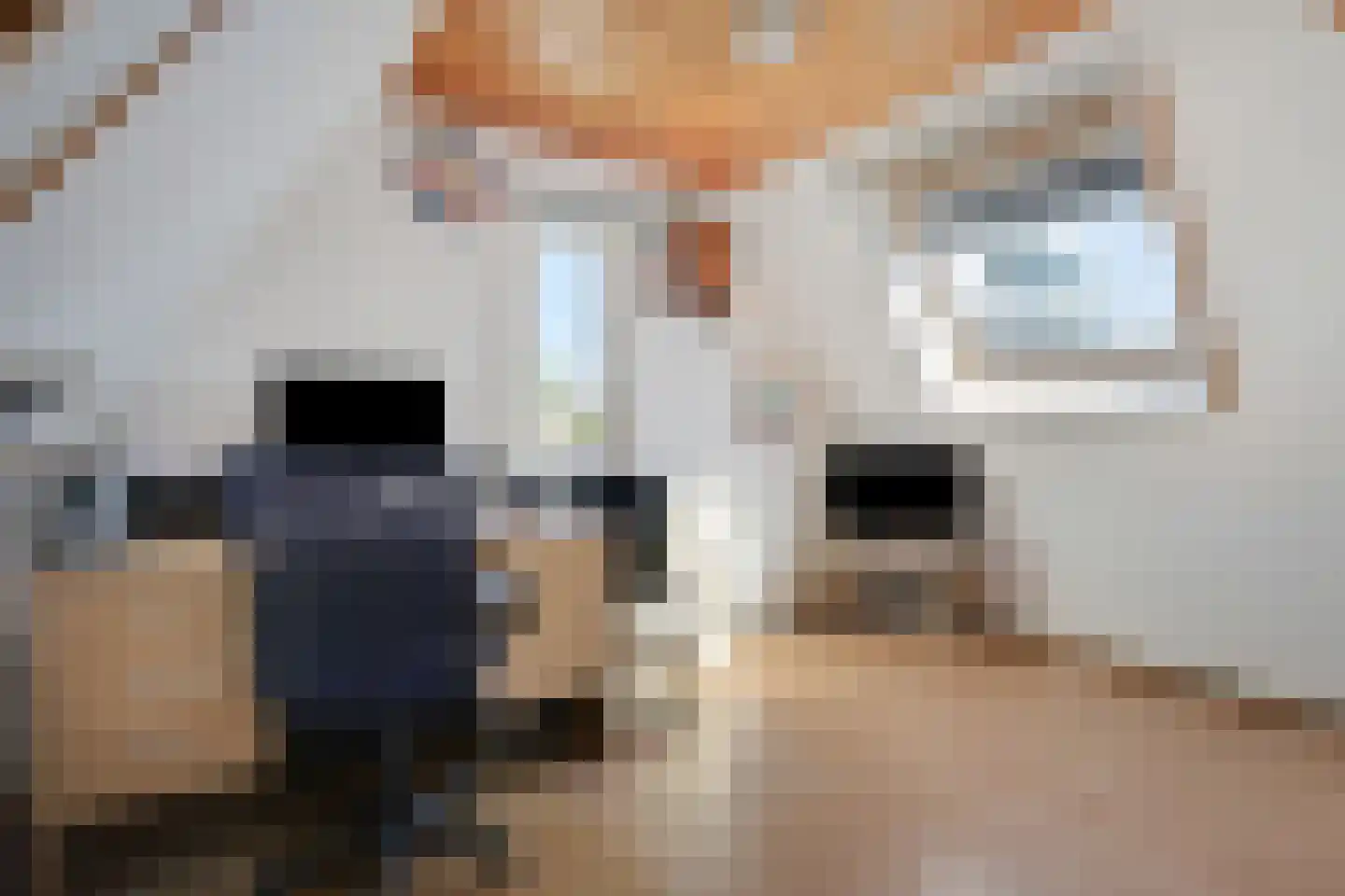 Merwedestraat 5 Velp thumbnail 17