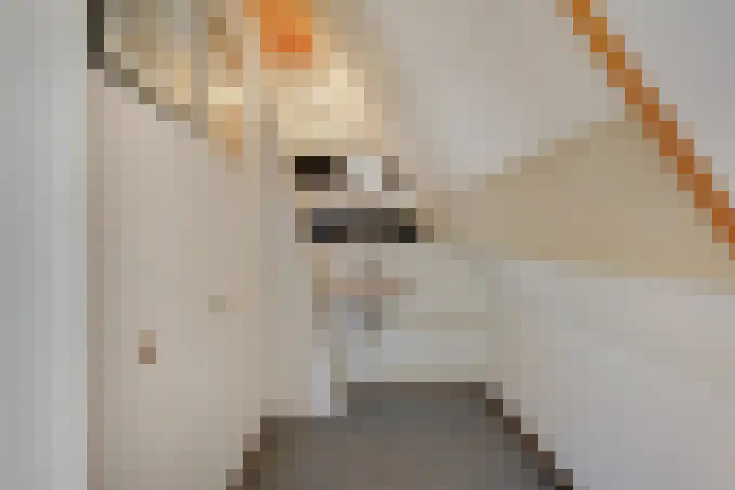 Merwedestraat 5 Velp thumbnail 18