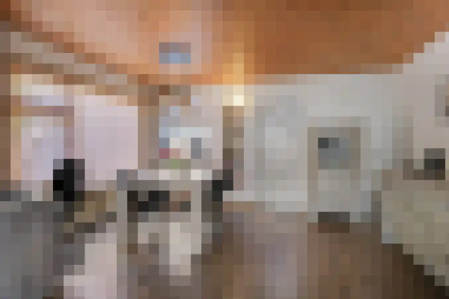 Merwedestraat 5 Velp thumbnail 6